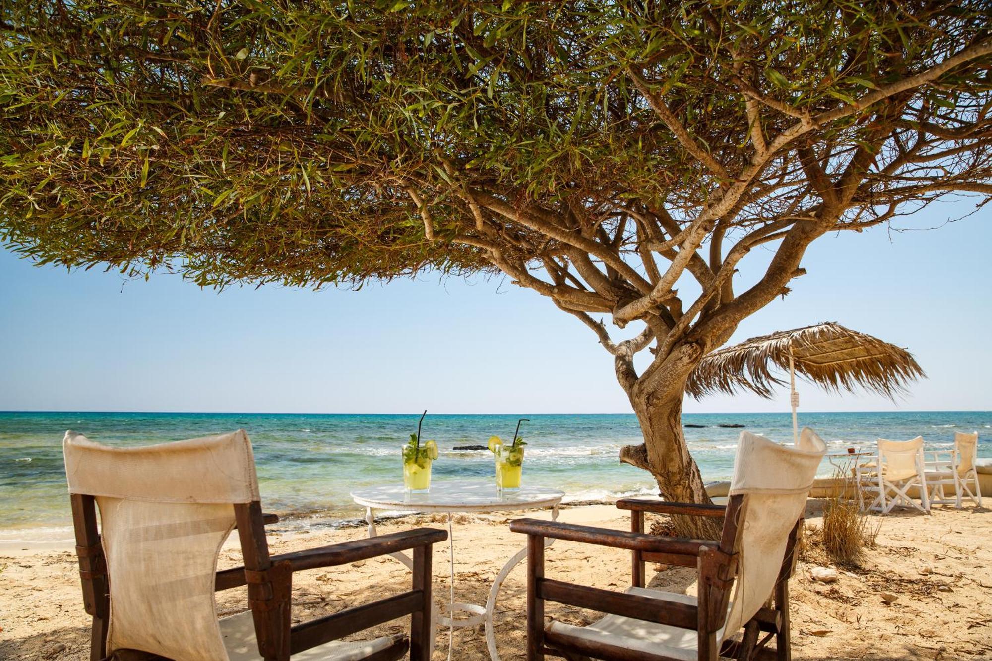 Thalassines Villas Ayia Napa Eksteriør billede