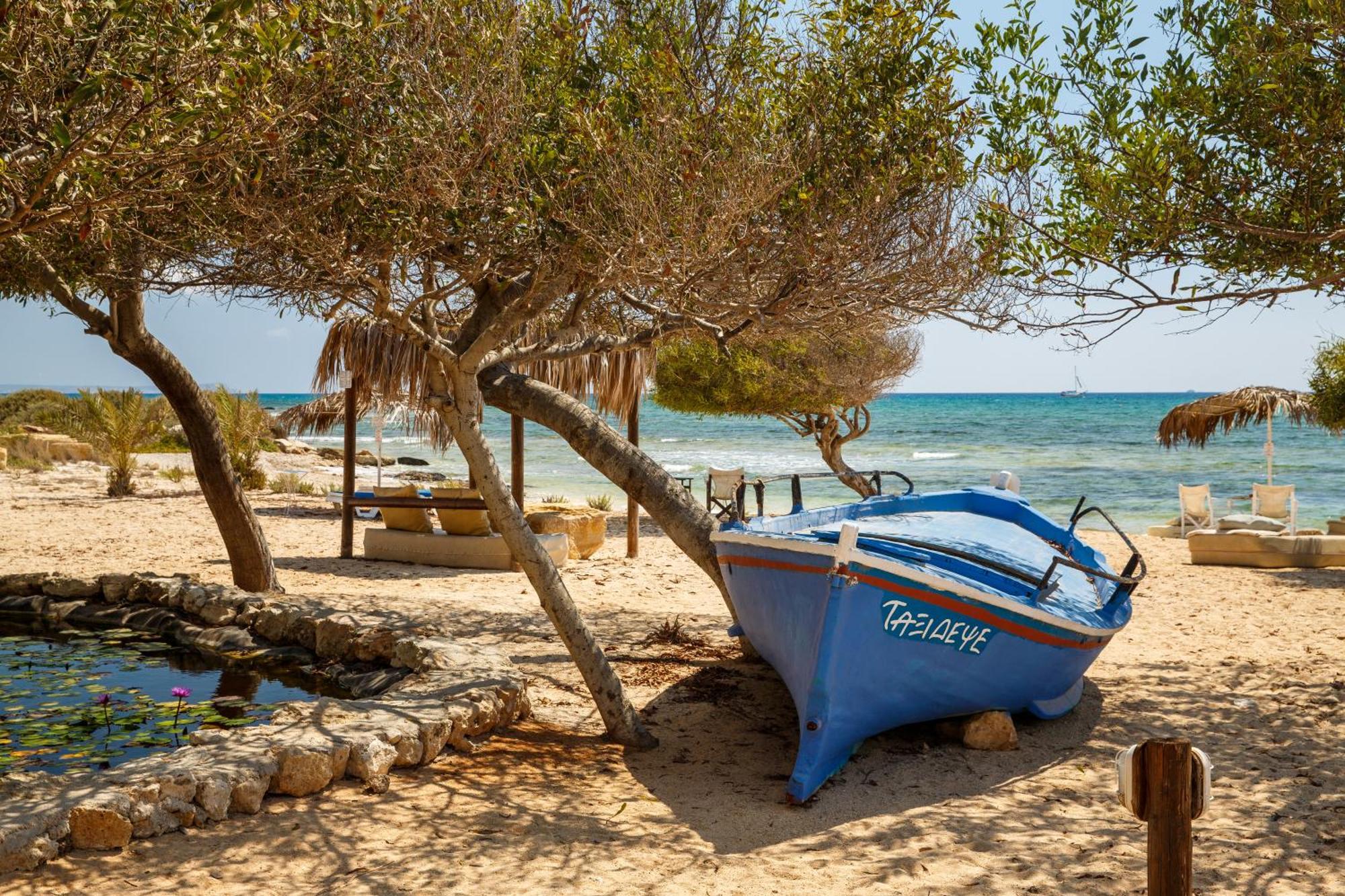 Thalassines Villas Ayia Napa Eksteriør billede